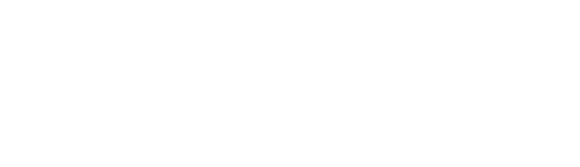Successful Digital Transformation | Solei Consulting → SOLEI Successful Digital Transformation | Solei Consulting
